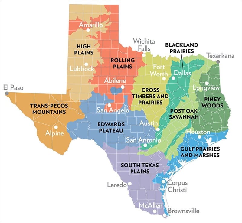 Map of Texas showing all 10 ecoregions with color-coded boundaries